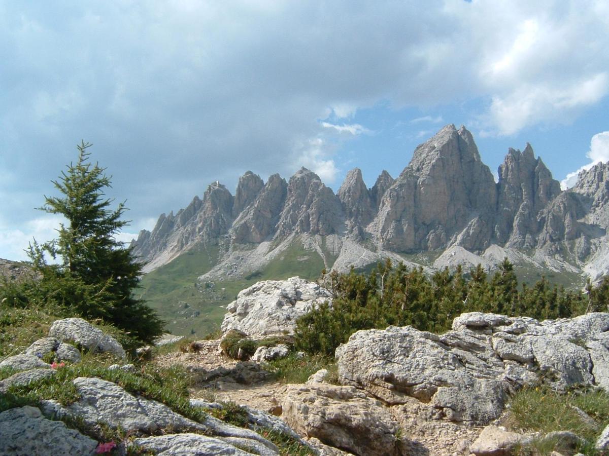 Appartamento Dolomiti Selva di Val Gardena Dış mekan fotoğraf
